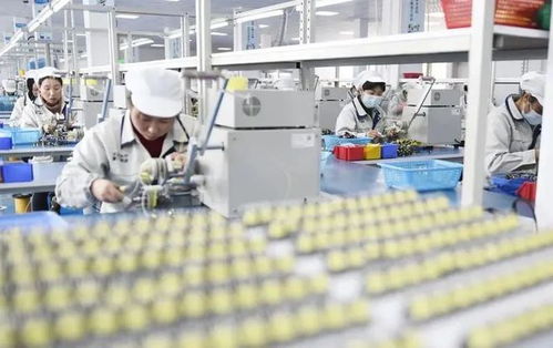 小微企业成留抵退税重点，旅游业务迎政策春风